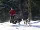 Takamaka Chamonix Mushing